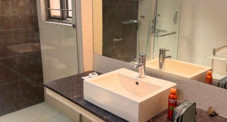 10 Marla fully furnished house for Sale in Dha Lahore