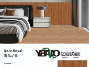 Imported Tile 24*48 Porcelain Matt Series
