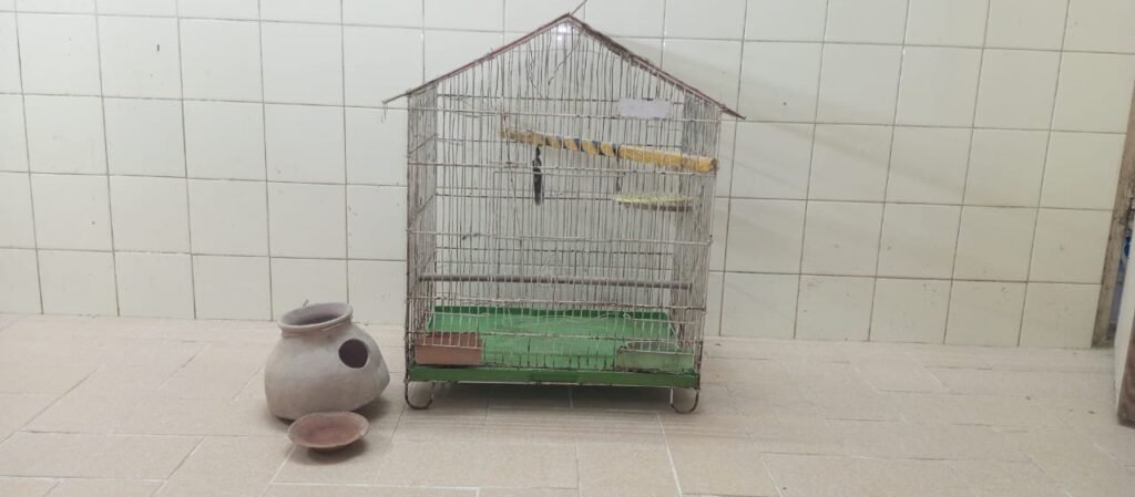 Good Condition Birds Cauge For Sale - photo 1