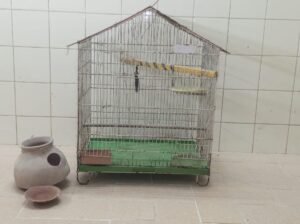 Good Condition Birds Cauge For Sale
