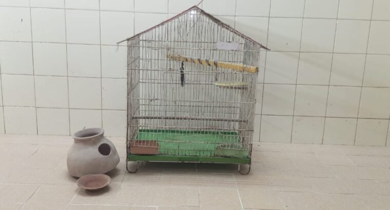 Good Condition Birds Cauge For Sale