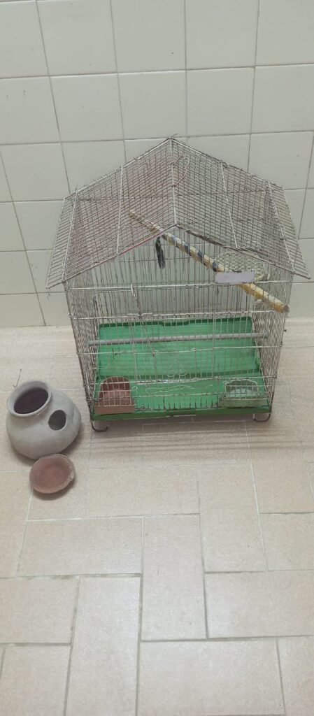 Good Condition Birds Cauge For Sale - photo 2