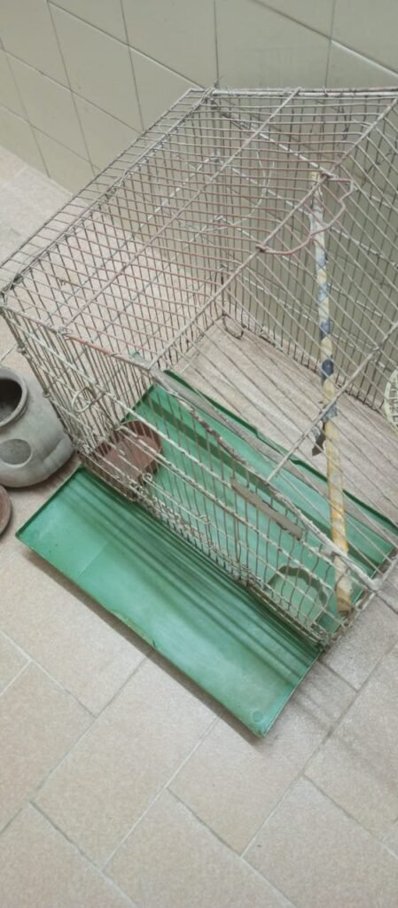 Good Condition Birds Cauge For Sale - photo 3