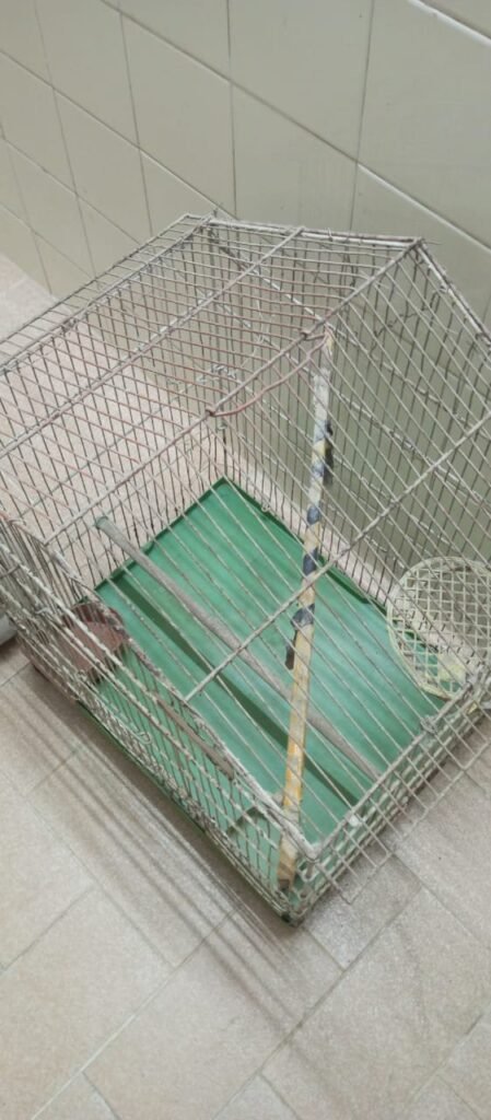 Good Condition Birds Cauge For Sale - photo 4