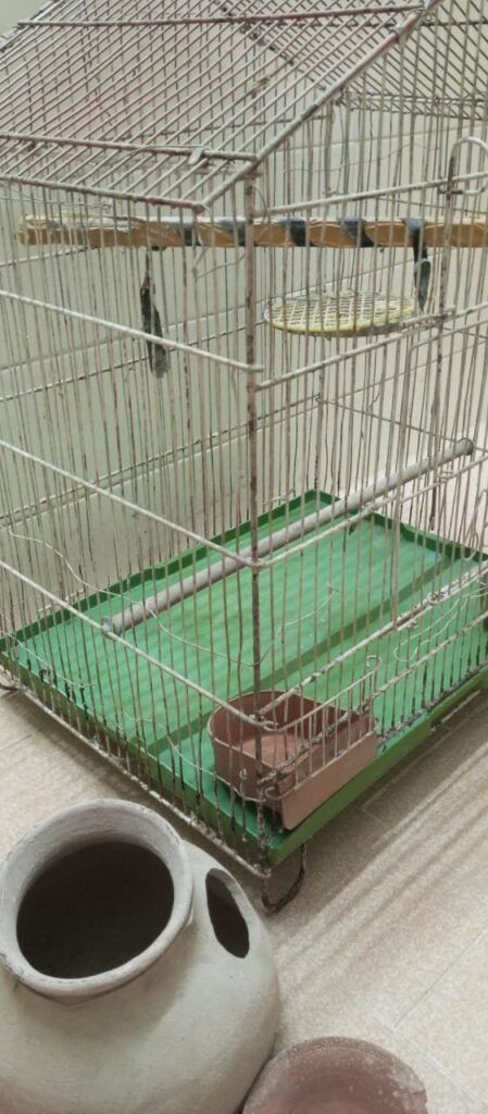 Good Condition Birds Cauge For Sale - photo 6