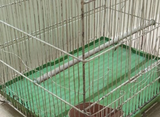 Good Condition Birds Cauge For Sale