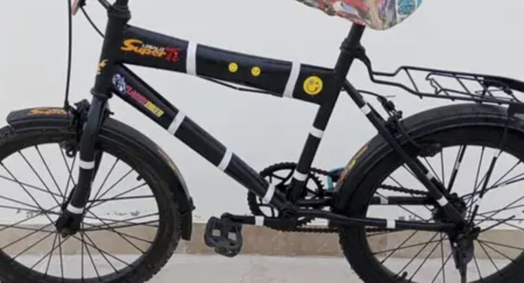 Completely Renew 18″ Bicycle – New Tyres & Parts (Ready to Ride)