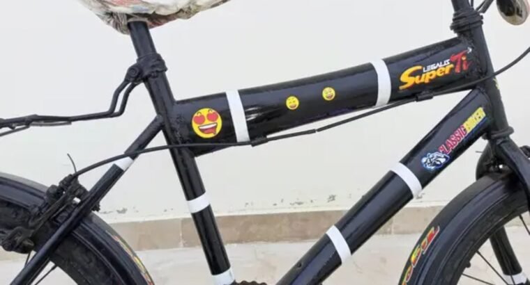Completely Renew 18″ Bicycle – New Tyres & Parts (Ready to Ride)