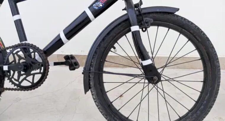 Completely Renew 18″ Bicycle – New Tyres & Parts (Ready to Ride)