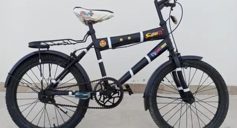 Completely Renew 18″ Bicycle – New Tyres & Parts (Ready to Ride)
