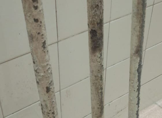 Iron Pipe Cricket Wicket – For Sale (One Time Investment)