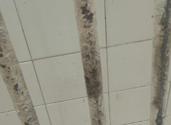 Iron Pipe Cricket Wicket – For Sale (One Time Investment)