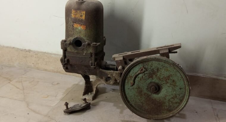 Super Golden 0.5 HP Donkey Pump (Body / Head Assembly Only)