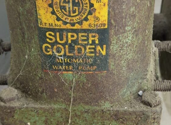 Super Golden 0.5 HP Donkey Pump (Body / Head Assembly Only)