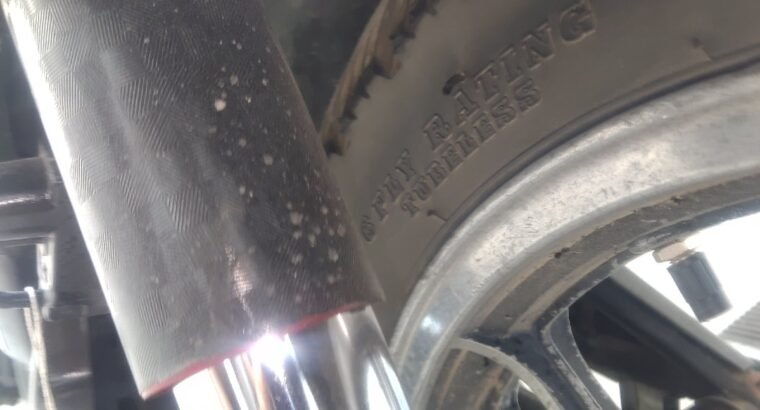 CD genuine Reare Shocks