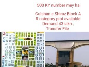 Plots for Sales