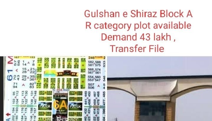 Plots for Sales